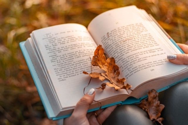 Écrire un roman inspiré du réel – accompagnement littéraire